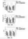 Fig. 08 - FREEZE-DRIED POLYELECTROLYTE COMPLEXES THAT MAINTAIN SIZE AND BIOLOGICAL ACTIVITY