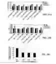 Fig. 15 - FREEZE-DRIED POLYELECTROLYTE COMPLEXES THAT MAINTAIN SIZE AND BIOLOGICAL ACTIVITY