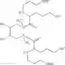 Fig. 08 - Agents for improved delivery of nucleic acids to eukaryotic cells