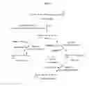 Fig. 02 - Microorganism comprising gene for coding enzyme involved in producing retinoid and method for producing retinoid by using same