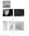 Fig. 09 - Methods and devices for diagnosis of particles in biological fluids