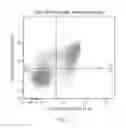 Fig. 02 - Dual labeling methods for measuring cellular proliferation
