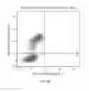 Fig. 09 - Dual labeling methods for measuring cellular proliferation
