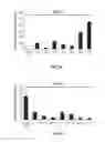 Fig. 03 - Methods for detecting and treating variants of seborrheic keratoses