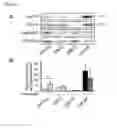 Fig. 09 - METHODS FOR DETECTING PROSTATE CANCER