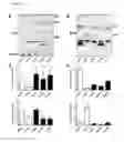 Fig. 44 - METHODS FOR DETECTING PROSTATE CANCER