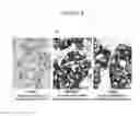 Fig. 09 - SIMULTANEOUS DETECTION OF MUTATIONAL STATUS AND GENE COPY NUMBER