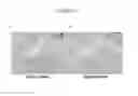 Fig. 12 - SIMULTANEOUS DETECTION OF MUTATIONAL STATUS AND GENE COPY NUMBER