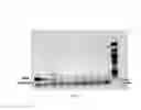 Fig. 04 - RECOMBINASE POLYMERASE AMPLIFICATION (RPA) METHOD FOR LEISHMANIA SPP. AND TRYPANOSOMA CRUZI