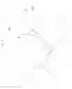 Fig. 02 - Austenitic steel matrix-nanoparticle composite and producing method thereof