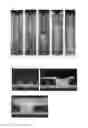 Fig. 03 - ELECTROPLATING SOLUTION FOR TIN OR TIN ALLOY, AND USE FOR SAME