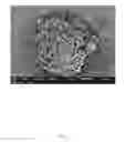 Fig. 10 - Method of manufacturing a bundle of electrospun yarn and manufacturing equipment for the same