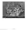 Fig. 11 - Method of manufacturing a bundle of electrospun yarn and manufacturing equipment for the same
