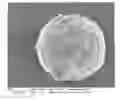 Fig. 01 - Composition of precipitated calcium carbonate, method of producing the same and the uses thereof