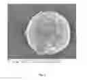 Fig. 02 - Composition of precipitated calcium carbonate, method of producing the same and the uses thereof