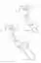 Fig. 04 - Fall arrester
