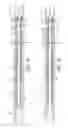 Fig. 12 - Apparatus and method for controlling a downhole device