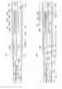Fig. 09 - Mainbore clean out tool