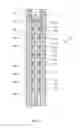 Fig. 07 - Downhole pumping assembly and a downhole system