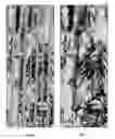 Fig. 07 - Borehole image gap filling