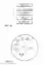 Fig. 41 - ROCKER ARM ASSEMBLY AND COMPONENTS THEREFOR