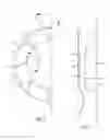 Fig. 06 - Propeller pump for pumping liquid