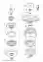 Fig. 03 - FRICTION CLUTCH ASSEMBLIES