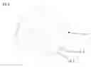 Fig. 01 - BEVEL GEAR OR HYPOID GEAR HAVING CONICAL TOOTH SHAPE IN THE LONGITUDINAL DIRECTION AND HAVING CONSTANT TOOTH GAP WIDTH IN THE BASE