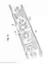 Fig. 32 - Lighting assembly