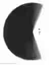 Fig. 36 - Lighting assembly