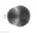 Fig. 40 - Lighting assembly