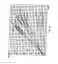 Fig. 45 - Lighting assembly