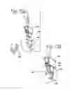Fig. 59 - Lighting assembly