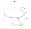 Fig. 14 - Vehicle Lamp
