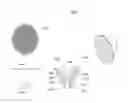Fig. 01 - Hybrid lens system incorporating total internal reflection lens and diffuser