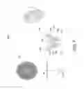 Fig. 08 - Hybrid lens system incorporating total internal reflection lens and diffuser
