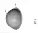 Fig. 10 - Hybrid lens system incorporating total internal reflection lens and diffuser