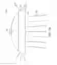 Fig. 05 - Luminaire for emitting directional and nondirectional light