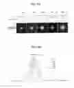 Fig. 06 - Light-emitting apparatus