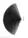 Fig. 35 - Lighting assembly