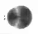Fig. 40 - Lighting assembly