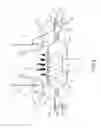 Fig. 13 - COMBUSTION DEVICE FOR AN OUTDOOR FLAME HEATER