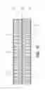Fig. 10 - Ambient water condensing apparatus