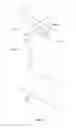 Fig. 06 - Refrigerator door frame apparatus and method