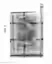 Fig. 04 - METHODS FOR PHENOTYPING OF INTACT BONES BY TISSUE CLEARING AND STAINING
