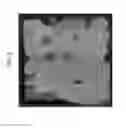 Fig. 06 - METHODS FOR PHENOTYPING OF INTACT BONES BY TISSUE CLEARING AND STAINING