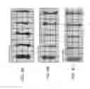 Fig. 09 - METHODS FOR PHENOTYPING OF INTACT BONES BY TISSUE CLEARING AND STAINING