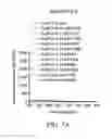 Fig. 07 - Method for preparing gold nanocluster composition