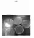 Fig. 07 - Coliphage biosensor