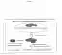 Fig. 14 - Coliphage biosensor